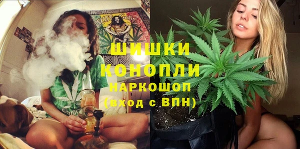 СК Арсеньев