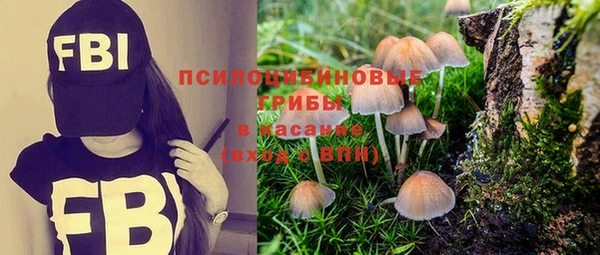 мяу мяу кристалл Аркадак