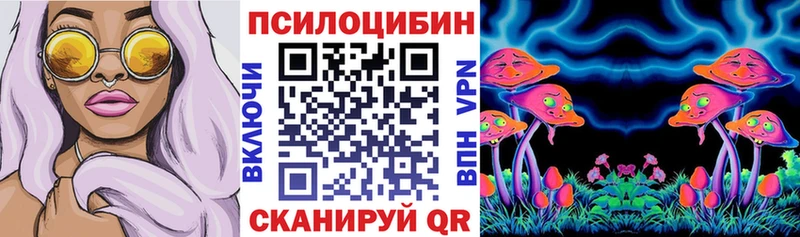 Псилоцибиновые грибы Psilocybine cubensis  где можно купить   Темников 
